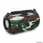 Портативна колонка BOROFONE BR4 Horizon sports wireless speaker Camouflage Green (BR4CE)