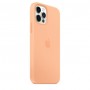 Чохол Silicone Case Full Protective (AA) для Apple iPhone 12 Pro Max (6.7