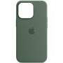 Чохол Silicone case (AAA) full with Magsafe для Apple iPhone 13 Pro (6.1