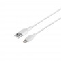 Мережевий Зарядний Пристрій XO L65EU Lightning 2.4A 2USB