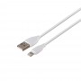 Автомобільний Зарядний Пристрій Borofone BZ14 Lightning 2USB2.4A