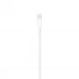 Кабель Original Lightning to USB Cable (0.5m) (ME291) (HC) (ARM47619)