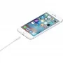 Кабель Original Lightning to USB Cable (0.5m) (ME291) (HC) (ARM47619)
