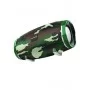 Портативна колонка BOROFONE BR3 Rich sound sports wireless speaker Camouflage Green (BR3CE)
