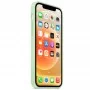 Чохол Silicone Case Full Protective (AA) для Apple iPhone 13 (6.1